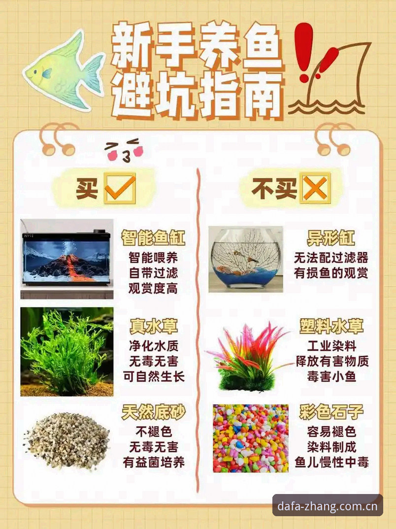 DAFA官方版本怎么下载？2025最新版安装全流程与避坑指南