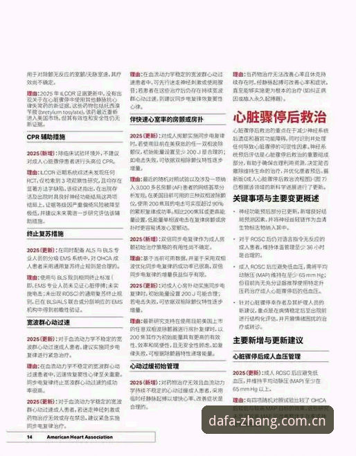 掌握大发最新版本实用技巧：2025年官方平台必备操作指南